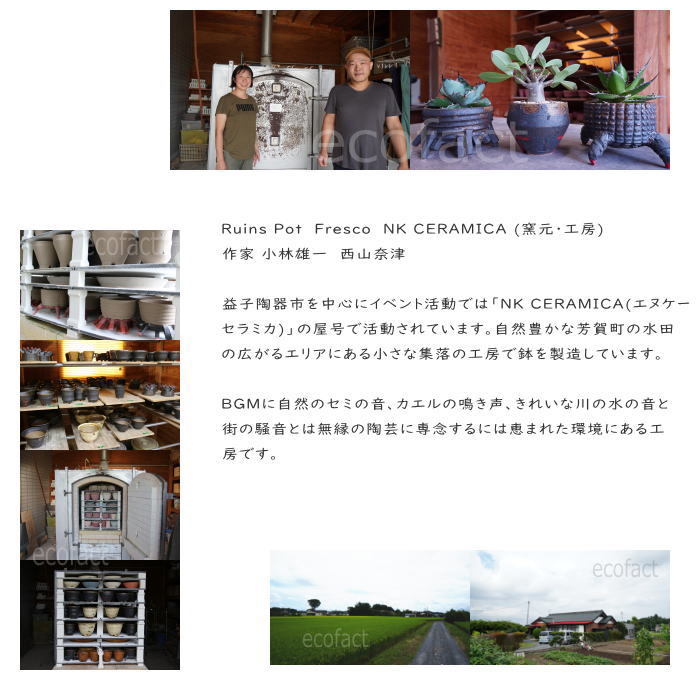 陶器鉢 植木鉢 小鉢 底穴あり 益子焼 Ruins Pot Fresco そり低 φ12cm おしゃれ 園芸鉢 プランター アガベ コーデックス 塊根植物 NK CERAMICA(エヌケーセラミカ)