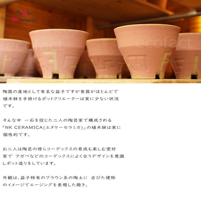 陶器鉢 植木鉢 小鉢 底穴あり 益子焼 Ruins Pot Fresco そり低 φ12cm おしゃれ 園芸鉢 プランター アガベ コーデックス 塊根植物 NK CERAMICA(エヌケーセラミカ)