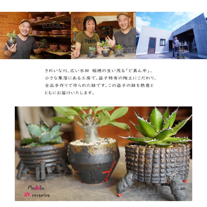 陶器鉢 植木鉢 小鉢 底穴あり 益子焼 Ruins Pot Fresco そり低 φ12cm おしゃれ 園芸鉢 プランター アガベ コーデックス 塊根植物 NK CERAMICA(エヌケーセラミカ)