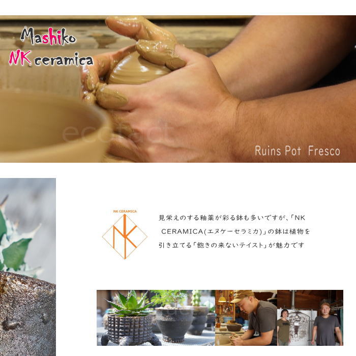 陶器鉢 植木鉢 小鉢 底穴あり 益子焼 Ruins Pot Fresco そり低 φ12cm おしゃれ 園芸鉢 プランター アガベ コーデックス 塊根植物 NK CERAMICA(エヌケーセラミカ)