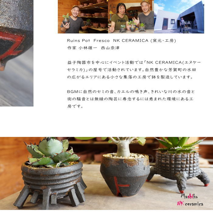 陶器鉢 植木鉢 小鉢 底穴あり 益子焼 Ruins Pot Fresco そり低 φ12cm おしゃれ 園芸鉢 プランター アガベ コーデックス 塊根植物 NK CERAMICA(エヌケーセラミカ)