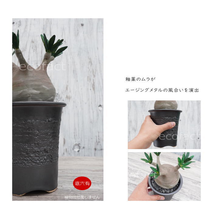陶器鉢 植木鉢 縦長鉢 メタル(焼鉄色 )φ13.5cm おしゃれ プランター 園芸鉢 かみ山陶器 信楽焼 観葉植物 アガベ サボテン ビザールプランツ 塊根植物 コーデックス 多肉植物 ポット