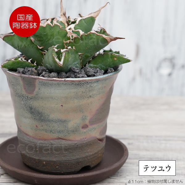 陶器鉢 植木鉢 小鉢 底穴あり 鉄釉そり深(ガンメタ)φ11cm 受皿付き おしゃれ プランター 園芸鉢 信楽焼(しがらきやき)かみ山陶器 コーデックス 塊根植物