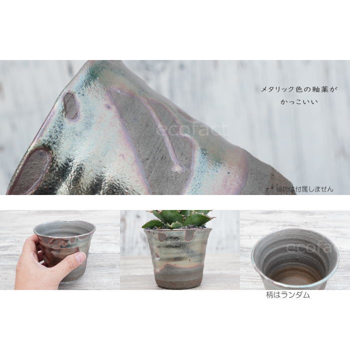 陶器鉢 植木鉢 小鉢 底穴あり 鉄釉そり深(ガンメタ)φ11cm 受皿付き おしゃれ プランター 園芸鉢 信楽焼(しがらきやき)かみ山陶器 コーデックス 塊根植物