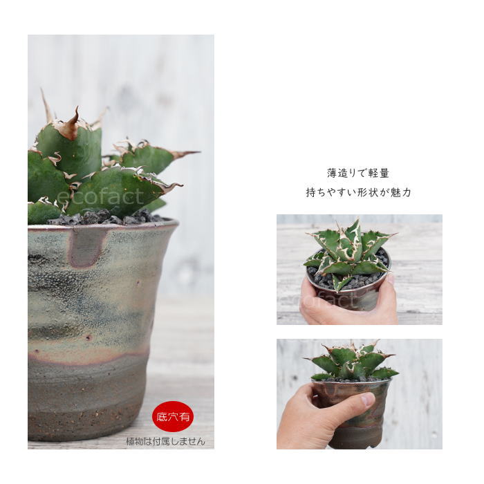 陶器鉢 植木鉢 小鉢 底穴あり 鉄釉そり深(ガンメタ)φ11cm 受皿付き おしゃれ プランター 園芸鉢 信楽焼(しがらきやき)かみ山陶器 コーデックス 塊根植物