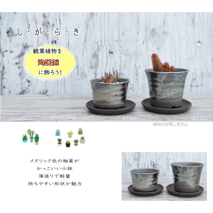 陶器鉢 植木鉢 小鉢 底穴あり 鉄釉そり浅(ガンメタ)φ10cm 受皿付き おしゃれ プランター 園芸鉢 信楽焼(しがらきやき)かみ山陶器 コーデックス 塊根植物