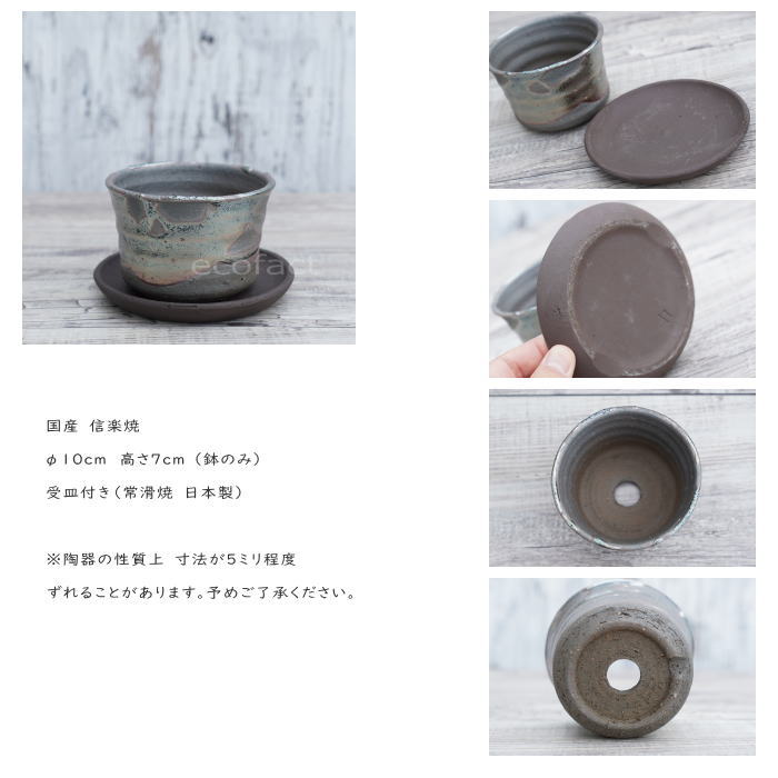 陶器鉢 植木鉢 小鉢 底穴あり 鉄釉そり浅(ガンメタ)φ10cm 受皿付き おしゃれ プランター 園芸鉢 信楽焼(しがらきやき)かみ山陶器 コーデックス 塊根植物