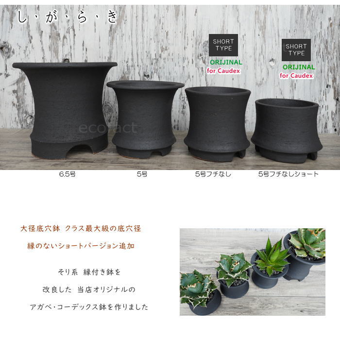 陶器鉢 植木鉢 高脚 5号フチなしショート 底穴あり ブラック おしゃれ プランター 園芸鉢 信楽焼 かみ山陶器 観葉植物 アガベ サボテン ビザールプランツ 塊根植物 コーデックス 多肉植物 ポット