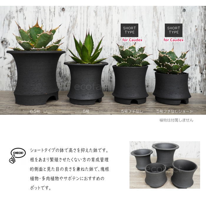 陶器鉢 植木鉢 高脚 5号フチなしショート 底穴あり ブラック おしゃれ プランター 園芸鉢 信楽焼 かみ山陶器 観葉植物 アガベ サボテン ビザールプランツ 塊根植物 コーデックス 多肉植物 ポット
