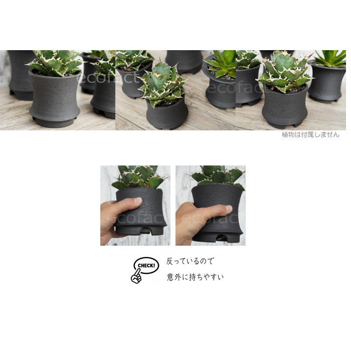 陶器鉢 植木鉢 高脚 5号フチなしショート 底穴あり ブラック おしゃれ プランター 園芸鉢 信楽焼 かみ山陶器 観葉植物 アガベ サボテン ビザールプランツ 塊根植物 コーデックス 多肉植物 ポット