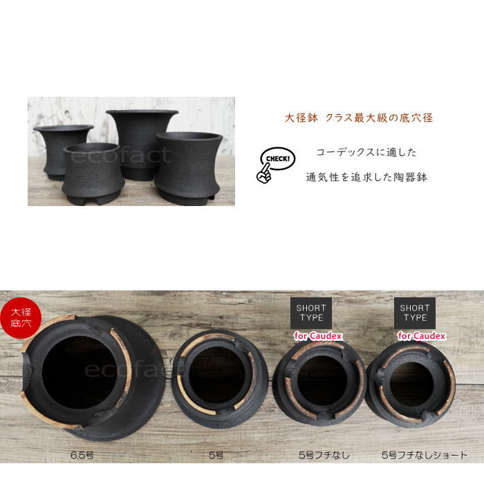 陶器鉢 植木鉢 高脚 5号フチなしショート 底穴あり ブラック おしゃれ プランター 園芸鉢 信楽焼 かみ山陶器 観葉植物 アガベ サボテン ビザールプランツ 塊根植物 コーデックス 多肉植物 ポット