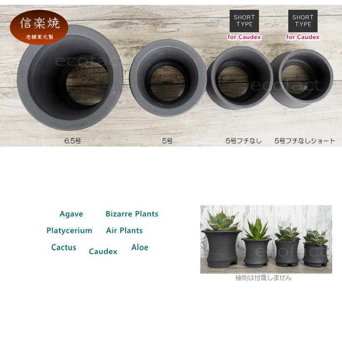 陶器鉢 植木鉢 高脚 5号フチなしショート 底穴あり ブラック おしゃれ プランター 園芸鉢 信楽焼 かみ山陶器 観葉植物 アガベ サボテン ビザールプランツ 塊根植物 コーデックス 多肉植物 ポット