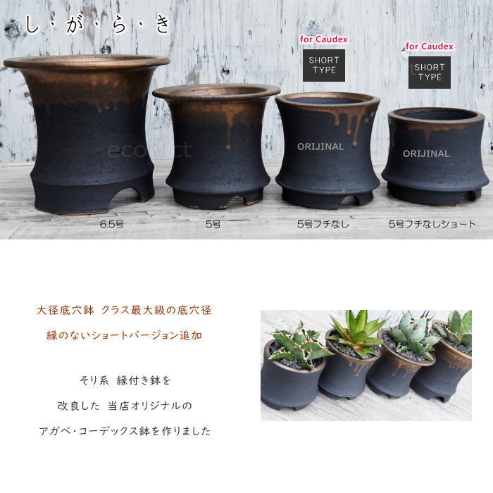 陶器鉢 植木鉢 金彩高脚 5号フチなしショート 底穴あり ブラック /ゴールド おしゃれ プランター 園芸鉢 信楽焼 かみ山陶器 観葉植物 アガベ サボテン ビザールプランツ 塊根植物 コーデックス 多肉植物 ポット