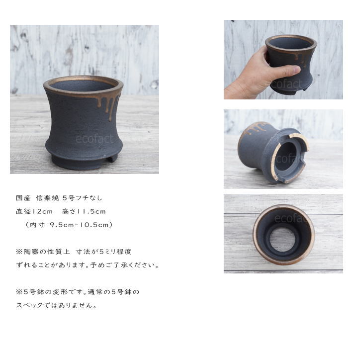 陶器鉢 植木鉢 金彩高脚 5号フチなし 底穴あり ブラック /ゴールド おしゃれ プランター 園芸鉢 信楽焼 かみ山陶器 観葉植物 アガベ サボテン ビザールプランツ 塊根植物 コーデックス 多肉植物 ポット
