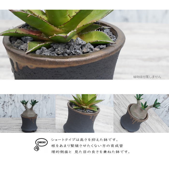 陶器鉢 植木鉢 金彩高脚 5号フチなし 底穴あり ブラック /ゴールド おしゃれ プランター 園芸鉢 信楽焼 かみ山陶器 観葉植物 アガベ サボテン ビザールプランツ 塊根植物 コーデックス 多肉植物 ポット