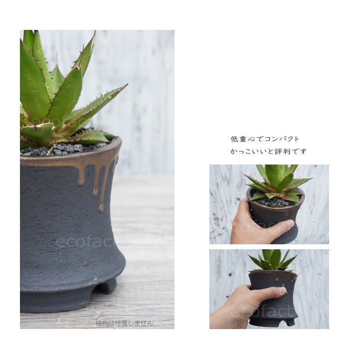 陶器鉢 植木鉢 金彩高脚 5号フチなし 底穴あり ブラック /ゴールド おしゃれ プランター 園芸鉢 信楽焼 かみ山陶器 観葉植物 アガベ サボテン ビザールプランツ 塊根植物 コーデックス 多肉植物 ポット