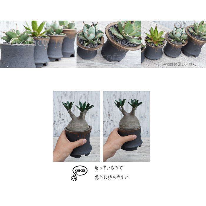 陶器鉢 植木鉢 金彩高脚 5号フチなし 底穴あり ブラック /ゴールド おしゃれ プランター 園芸鉢 信楽焼 かみ山陶器 観葉植物 アガベ サボテン ビザールプランツ 塊根植物 コーデックス 多肉植物 ポット