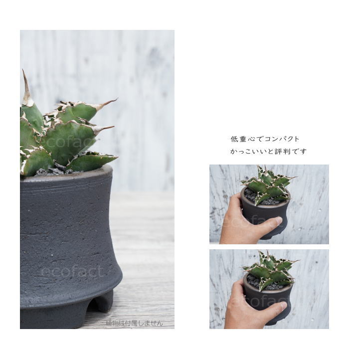 陶器鉢 植木鉢 金彩高脚 5号フチなしショート 底穴あり ブラック /ゴールド おしゃれ プランター 園芸鉢 信楽焼 かみ山陶器 観葉植物 アガベ サボテン ビザールプランツ 塊根植物 コーデックス 多肉植物 ポット