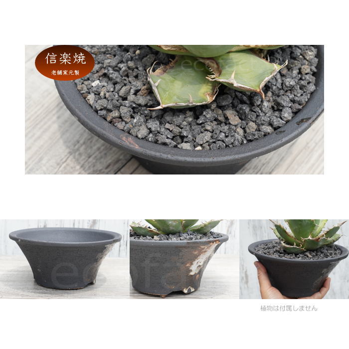 陶器鉢 植木鉢 底穴あり 艶消黒そりL ブラック おしゃれ プランター 園芸鉢 信楽焼 かみ山陶器 観葉植物 アガベ サボテン ビザールプランツ 塊根植物 コーデックス 多肉植物 ポット