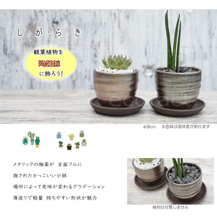 陶器鉢 植木鉢 小鉢 底穴あり 丸ミニ(フルメタリック)φ8cm 2.5号 受皿付き おしゃれ プランター 多肉植物 園芸鉢 信楽焼 かみ山陶器 エケベリア サンスベリア