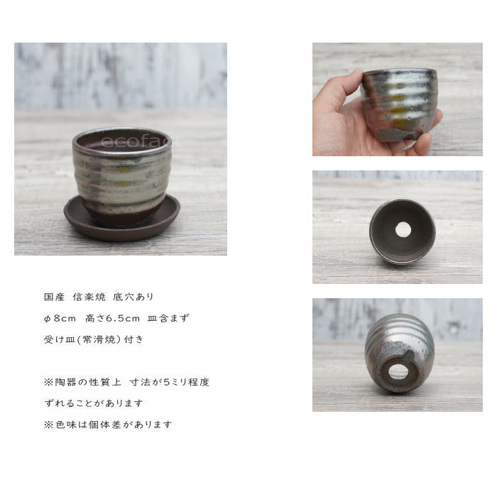 陶器鉢 植木鉢 小鉢 底穴あり 丸ミニ(フルメタリック)φ8cm 2.5号 受皿付き おしゃれ プランター 多肉植物 園芸鉢 信楽焼 かみ山陶器 エケベリア サンスベリア