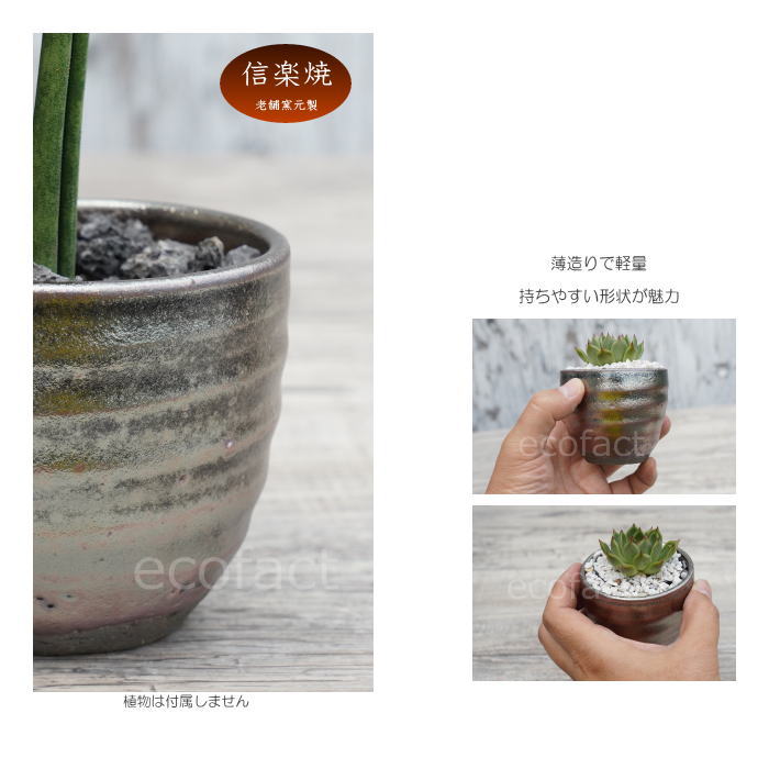 陶器鉢 植木鉢 小鉢 底穴あり 丸ミニ(フルメタリック)φ8cm 2.5号 受皿付き おしゃれ プランター 多肉植物 園芸鉢 信楽焼 かみ山陶器 エケベリア サンスベリア