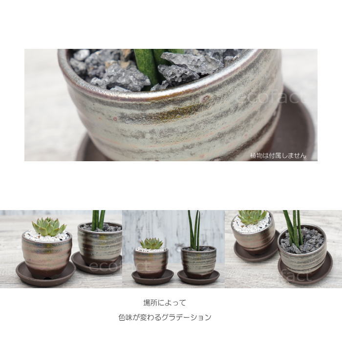 陶器鉢 植木鉢 小鉢 底穴あり 丸ミニ(フルメタリック)φ8cm 2.5号 受皿付き おしゃれ プランター 多肉植物 園芸鉢 信楽焼 かみ山陶器 エケベリア サンスベリア