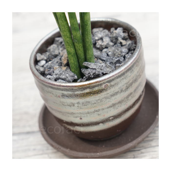 陶器鉢 植木鉢 小鉢 底穴あり 丸ミニ(フルメタリック)φ8cm 2.5号 受皿付き おしゃれ プランター 多肉植物 園芸鉢 信楽焼 かみ山陶器 エケベリア サンスベリア
