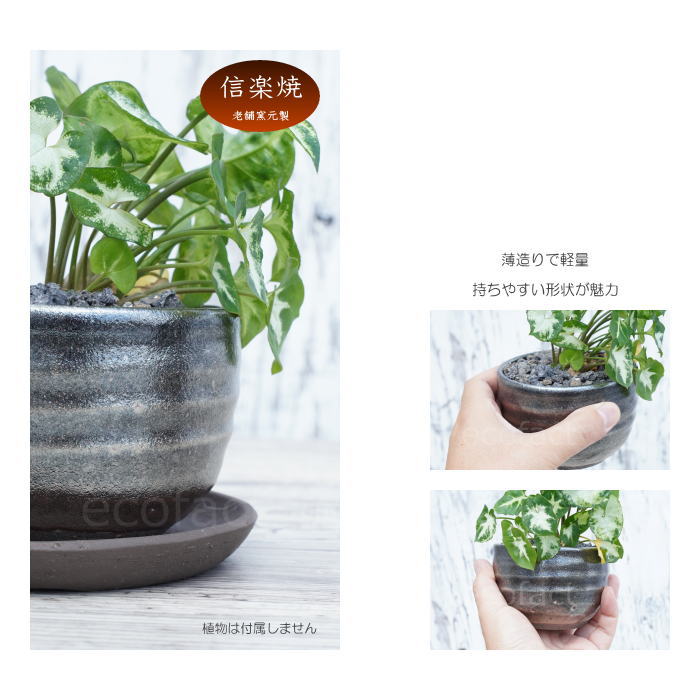 陶器鉢 植木鉢 小鉢 底穴あり 丸型(フルメタリック)φ10cm 3.5号 受皿付き おしゃれ プランター 多肉植物 園芸鉢 信楽焼 かみ山陶器 エケベリア サンスベリア