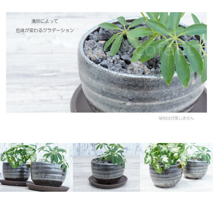 陶器鉢 植木鉢 小鉢 底穴あり 丸型(フルメタリック)φ10cm 3.5号 受皿付き おしゃれ プランター 多肉植物 園芸鉢 信楽焼 かみ山陶器 エケベリア サンスベリア