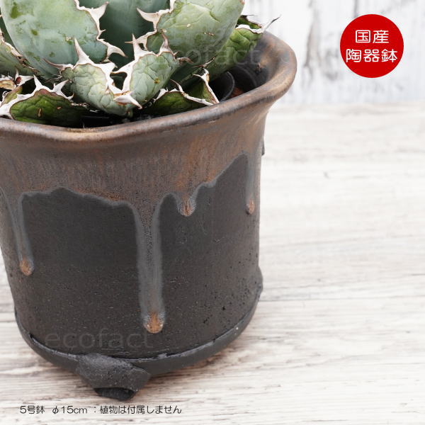 陶器鉢 植木鉢 高脚 筒型5号 ダークゴールド 底穴あり おしゃれ プランター 園芸鉢 信楽焼 かみ山陶器 観葉植物 アガベ サボテン ビザールプランツ 塊根植物 コーデックス 多肉植物 ポット