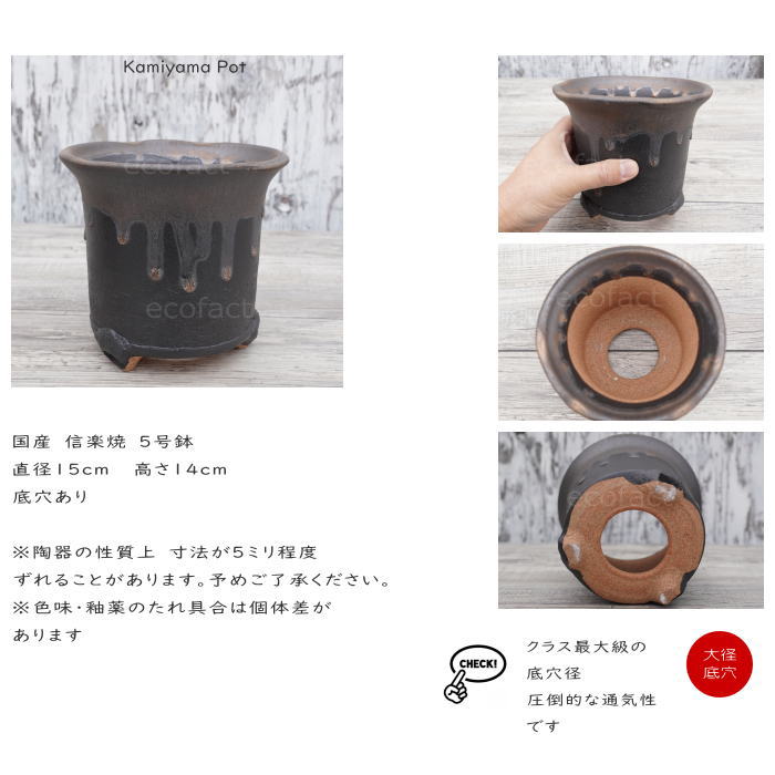 陶器鉢 植木鉢 高脚 筒型5号 ダークゴールド 底穴あり おしゃれ プランター 園芸鉢 信楽焼 かみ山陶器 観葉植物 アガベ サボテン ビザールプランツ 塊根植物 コーデックス 多肉植物 ポット