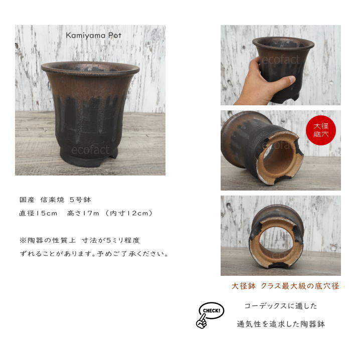 陶器鉢 植木鉢 底穴あり 5号高脚スリム 金彩 ブラック おしゃれ プランター 園芸鉢 信楽焼 かみ山陶器 観葉植物 アガベ サボテン ビザールプランツ 塊根植物 コーデックス 多肉植物 ポット