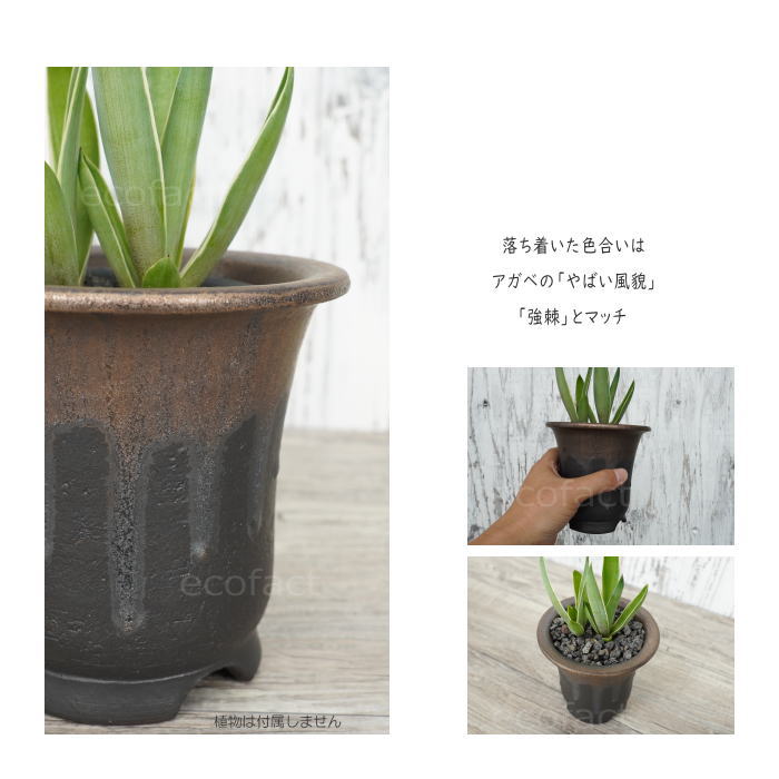 陶器鉢 植木鉢 底穴あり 4号高脚スリム 金彩 ブラック おしゃれ プランター 園芸鉢 信楽焼 かみ山陶器 観葉植物 アガベ サボテン ビザールプランツ 塊根植物 コーデックス 多肉植物 ポット