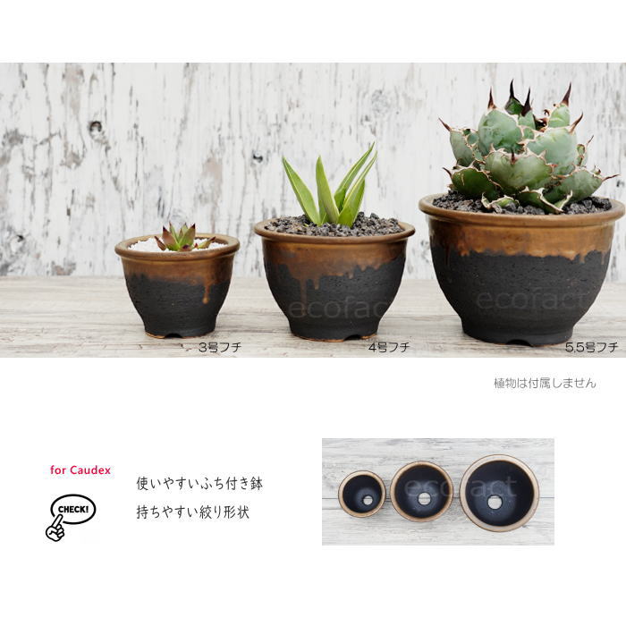 陶器鉢 植木鉢 4号フチ 底穴あり 金彩 ブラック おしゃれ プランター 園芸鉢 信楽焼 かみ山陶器 観葉植物 アガベ サボテン ビザールプランツ 塊根植物 コーデックス 多肉植物 ポット