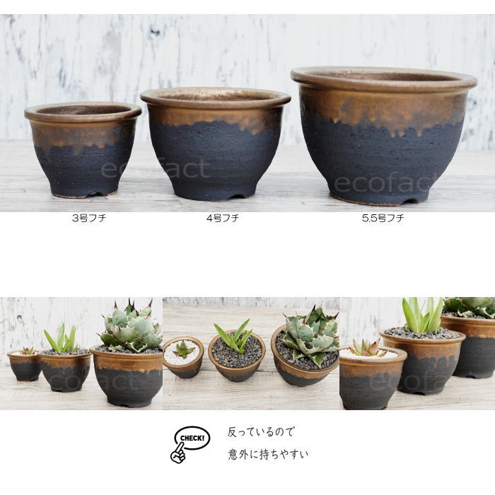 陶器鉢 植木鉢 4号フチ 底穴あり 金彩 ブラック おしゃれ プランター 園芸鉢 信楽焼 かみ山陶器 観葉植物 アガベ サボテン ビザールプランツ 塊根植物 コーデックス 多肉植物 ポット