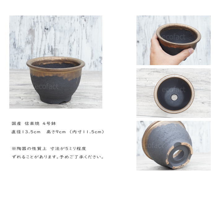 陶器鉢 植木鉢 4号フチ 底穴あり 金彩 ブラック おしゃれ プランター 園芸鉢 信楽焼 かみ山陶器 観葉植物 アガベ サボテン ビザールプランツ 塊根植物 コーデックス 多肉植物 ポット