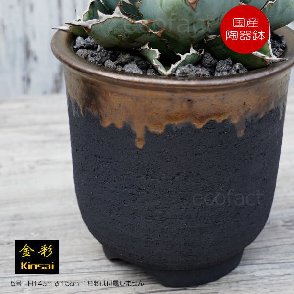 陶器鉢 植木鉢 5号 底穴あり 金彩 高鉢 H14cm ブラック おしゃれ プランター 園芸鉢 信楽焼 かみ山陶器 観葉植物 アガベ サボテン ビザールプランツ 塊根植物 コーデックス 多肉植物 ポット