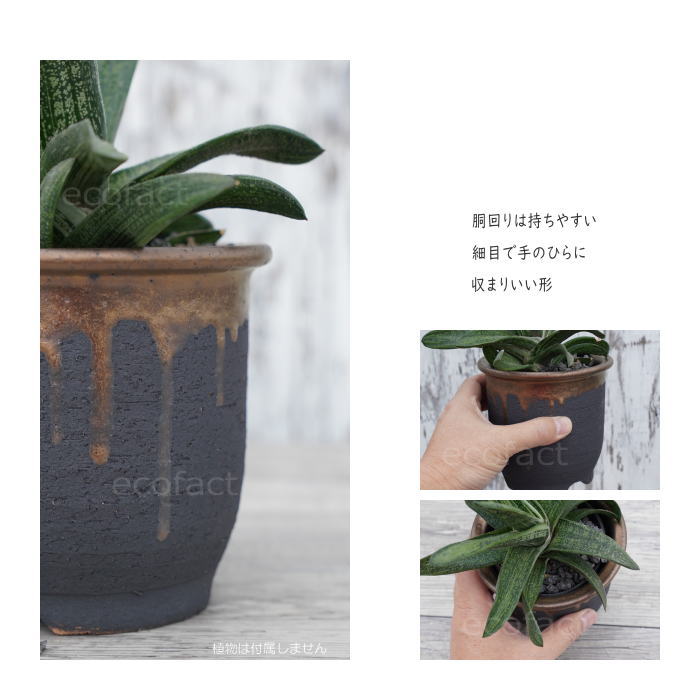 陶器鉢 植木鉢 4号 底穴あり 金彩 高鉢 H12cm ブラック おしゃれ プランター 園芸鉢 信楽焼 かみ山陶器 観葉植物 アガベ サボテン ビザールプランツ 塊根植物 コーデックス 多肉植物 ポット