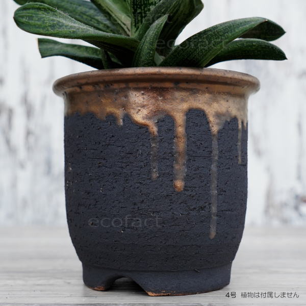 陶器鉢 植木鉢 4号 底穴あり 金彩 高鉢 H12cm ブラック おしゃれ プランター 園芸鉢 信楽焼 かみ山陶器 観葉植物 アガベ サボテン ビザールプランツ 塊根植物 コーデックス 多肉植物 ポット