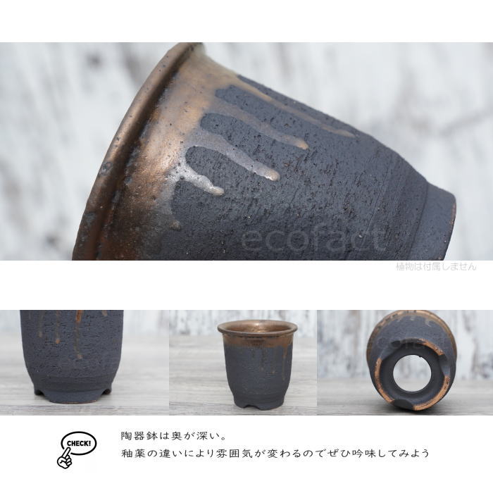 陶器鉢 植木鉢 3.5号 底穴あり 金彩 高鉢 H11cm ブラック ゴールド おしゃれ プランター 園芸鉢 信楽焼 かみ山陶器 観葉植物 アガベ サボテン ビザールプランツ 塊根植物 コーデックス 多肉植物 ポット