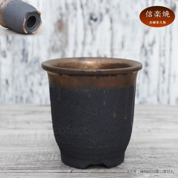 陶器鉢 植木鉢 3.5号 底穴あり 金彩 高鉢 H11cm ブラック ゴールド おしゃれ プランター 園芸鉢 信楽焼 かみ山陶器 観葉植物 アガベ サボテン ビザールプランツ 塊根植物 コーデックス 多肉植物 ポット