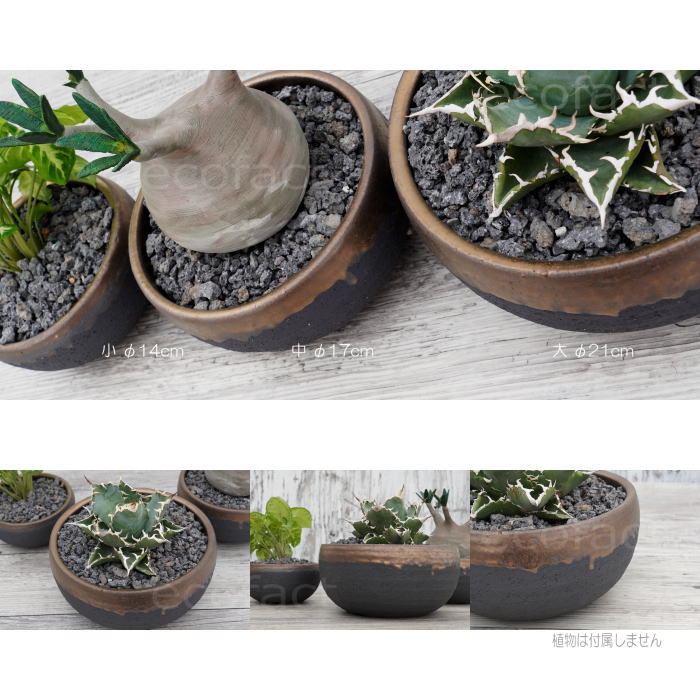 陶器鉢 植木鉢 丸浅(小)φ14cm 底穴あり 金彩 ブラック おしゃれ プランター 園芸鉢 信楽焼 かみ山陶器 観葉植物 アガベ サボテン ビザールプランツ 塊根植物 コーデックス 多肉植物 ポット