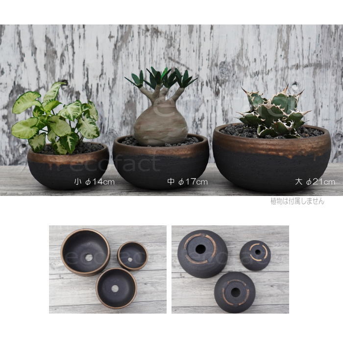 陶器鉢 植木鉢 丸浅(小)φ14cm 底穴あり 金彩 ブラック おしゃれ プランター 園芸鉢 信楽焼 かみ山陶器 観葉植物 アガベ サボテン ビザールプランツ 塊根植物 コーデックス 多肉植物 ポット