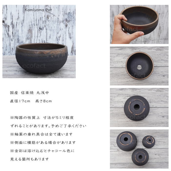 陶器鉢 植木鉢 丸浅(小)φ14cm 底穴あり 金彩 ブラック おしゃれ プランター 園芸鉢 信楽焼 かみ山陶器 観葉植物 アガベ サボテン ビザールプランツ 塊根植物 コーデックス 多肉植物 ポット