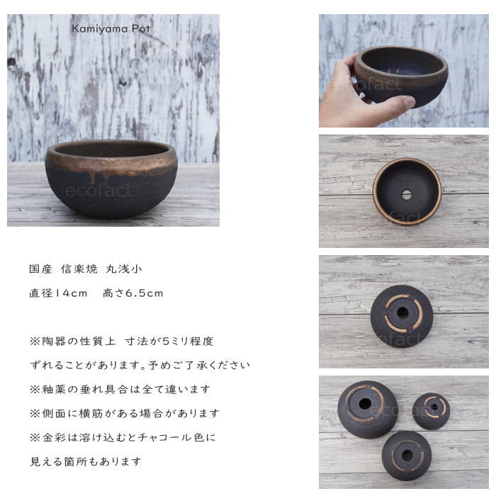 陶器鉢 植木鉢 丸浅(小)φ14cm 底穴あり 金彩 ブラック おしゃれ プランター 園芸鉢 信楽焼 かみ山陶器 観葉植物 アガベ サボテン ビザールプランツ 塊根植物 コーデックス 多肉植物 ポット