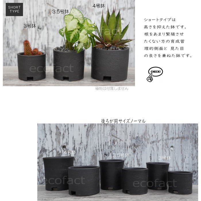 陶器鉢 植木鉢 4号ショートタイプ 筒型 黒 ブラック おしゃれ プランター 園芸鉢 かみ山陶器 信楽焼 観葉植物 アガベ サボテン ビザールプランツ 塊根植物 コーデックス 多肉植物 ポット