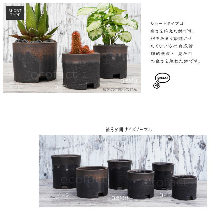 陶器鉢 植木鉢 4号ショートタイプ 筒型 金彩 ゴールド/ブラック おしゃれ プランター 園芸鉢 かみ山陶器 信楽焼 観葉植物 アガベ サボテン ビザールプランツ 塊根植物 コーデックス 多肉植物 ポット