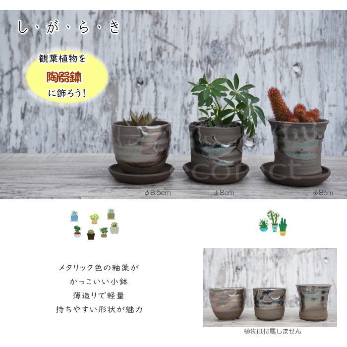 陶器鉢 植木鉢 小鉢 底穴あり 鉄釉縦型(ガンメタ)φ8cm 受皿付き おしゃれ プランター 園芸鉢 信楽焼(しがらきやき)かみ山陶器 コーデックス 塊根植物