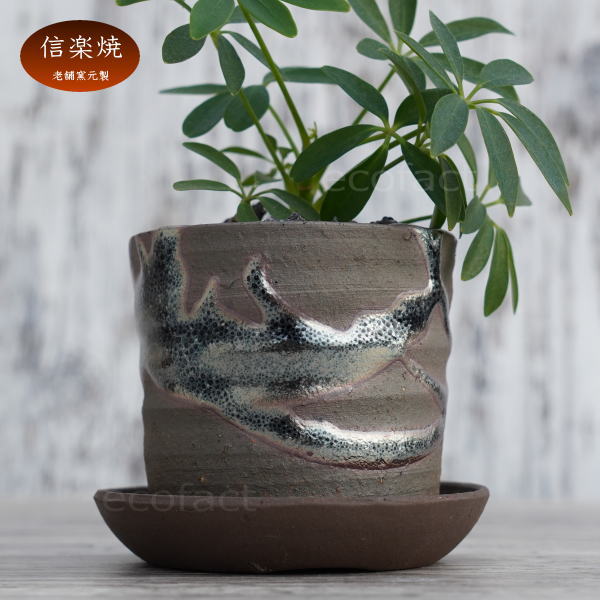 陶器鉢 植木鉢 小鉢 底穴あり 鉄釉縦型(ガンメタ)φ8cm 受皿付き おしゃれ プランター 園芸鉢 信楽焼(しがらきやき)かみ山陶器 コーデックス 塊根植物